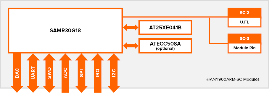 Block diagram of @ANY900ARM-SC-2 and @ANY900ARM-SC-3 high security IEEE 802.15.4 Zigbee wireless networking IoT modules for EU, NA, China and Japan Sub-1 GHz ISM bands.