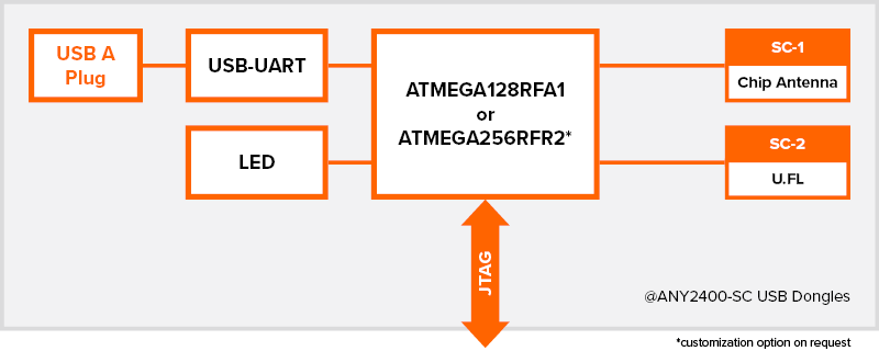 Blockdiagramm des Plug-and-Play-USB-Dongle-gehosteten Gateways @ANY2400-SC-1 und @ANY 2400-SC-2 für das 2,4-GHz-ISM-Band